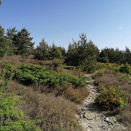 Cabrerolles Gite Cote Nature מראה חיצוני תמונה