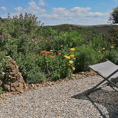 Cabrerolles Gite Cote Nature מראה חיצוני תמונה