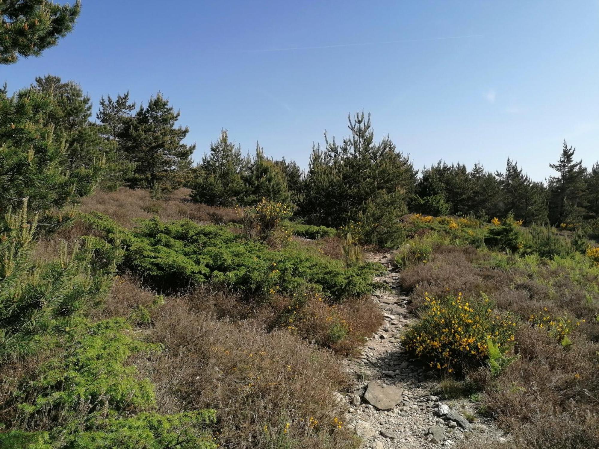 Cabrerolles Gite Cote Nature מראה חיצוני תמונה